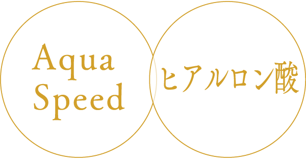 Aqua Speed ヒアルロン酸